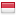 pulsalotusreload.com server is located in Indonesia